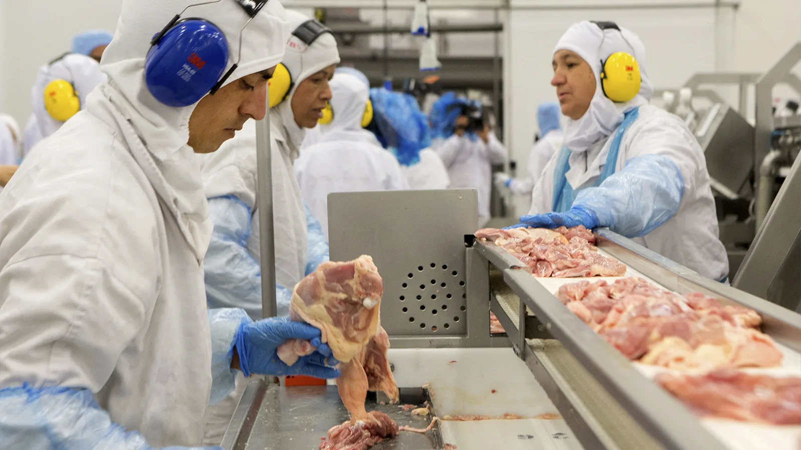 Portazo a Brasil: México frena la entrada de productos avícolas por brote de Newcastle